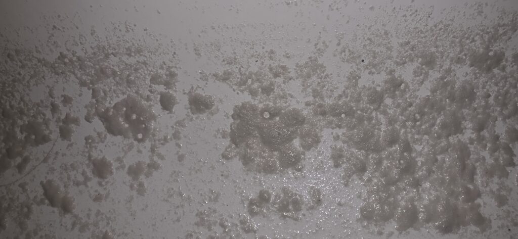Bath results